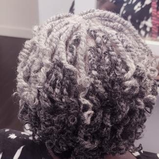 Ebony Styles Beauty Salon - Hair Twist with extensions